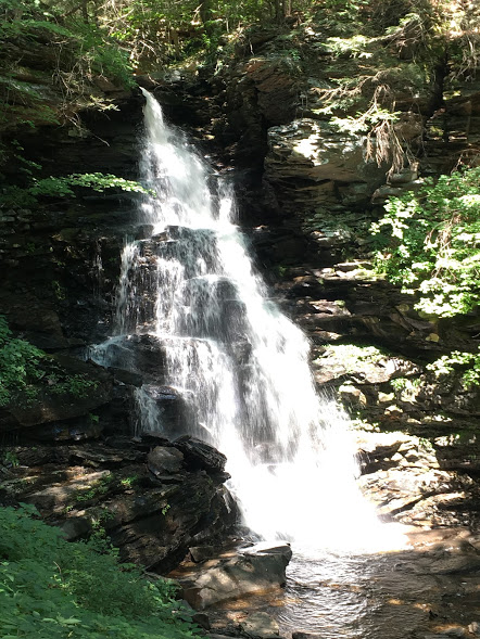 Rickett's Glen